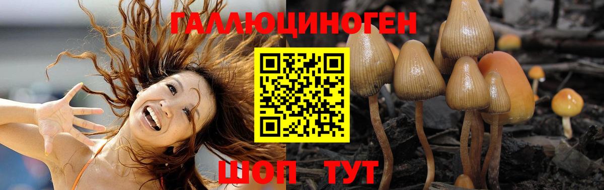 Галлюциногенные грибы Psilocybine cubensis  Вход с VPN  Кизилюрт  Псилоцибиновые грибы Cubensis 